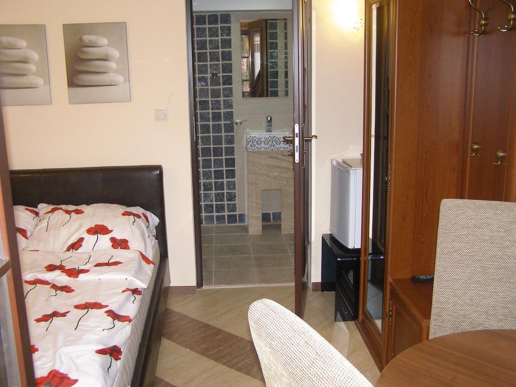 Willa Solina Hotel Solina  Habitación foto